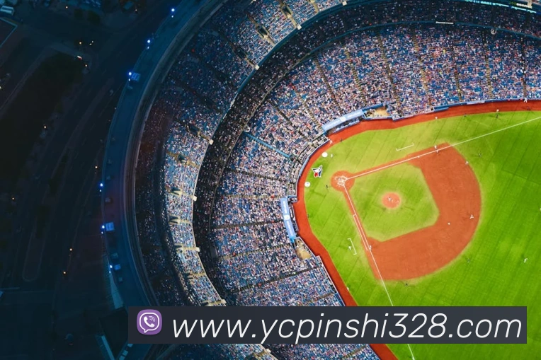 App Interface Preview