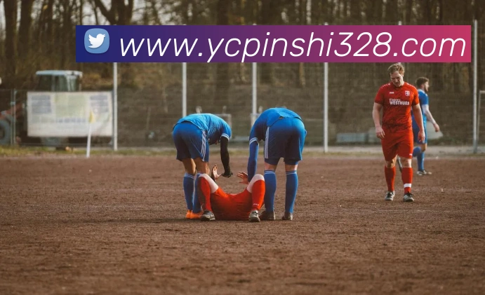 hth官网地址APP 封面图